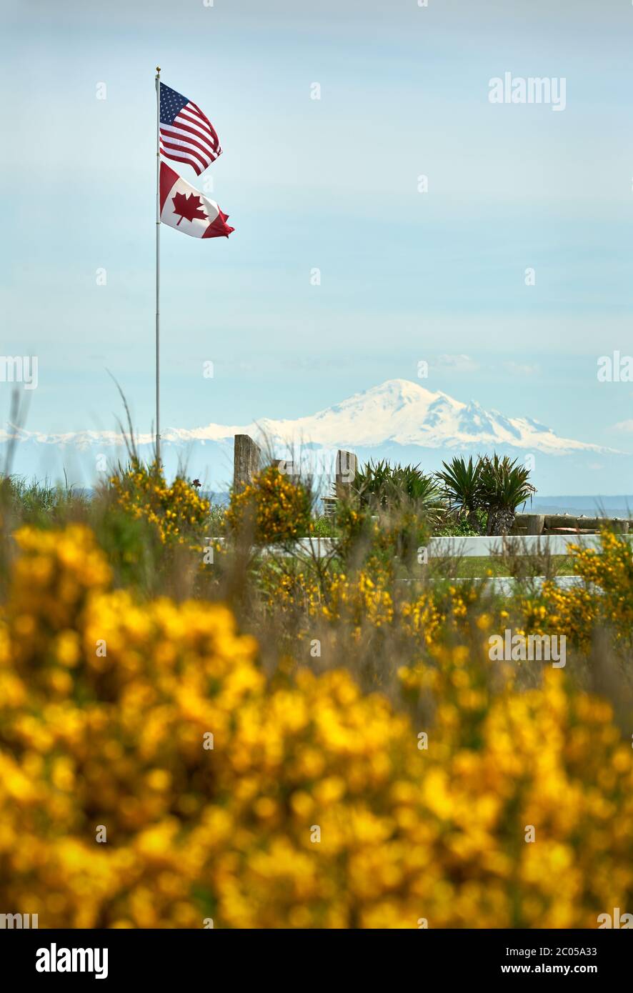 Stars and Stripes and Maple Leaf Flags. An American and Canadian Flag fly together in Point Roberts, Washington State with a view of Mount Baker. Stock Photo