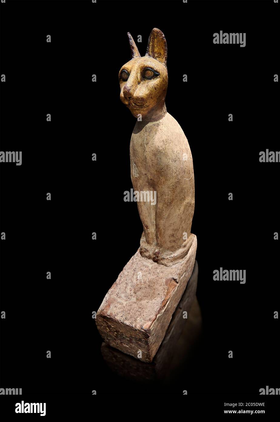 Ancient Egyptian Cat Sarcophagus conating cat mummy, Late to Plolomaic ...