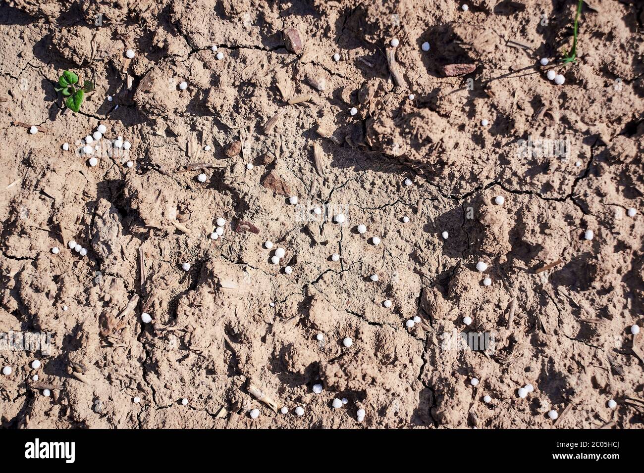 Artificial nitrogen fertilizer on brown soil. White mineral fertilizer