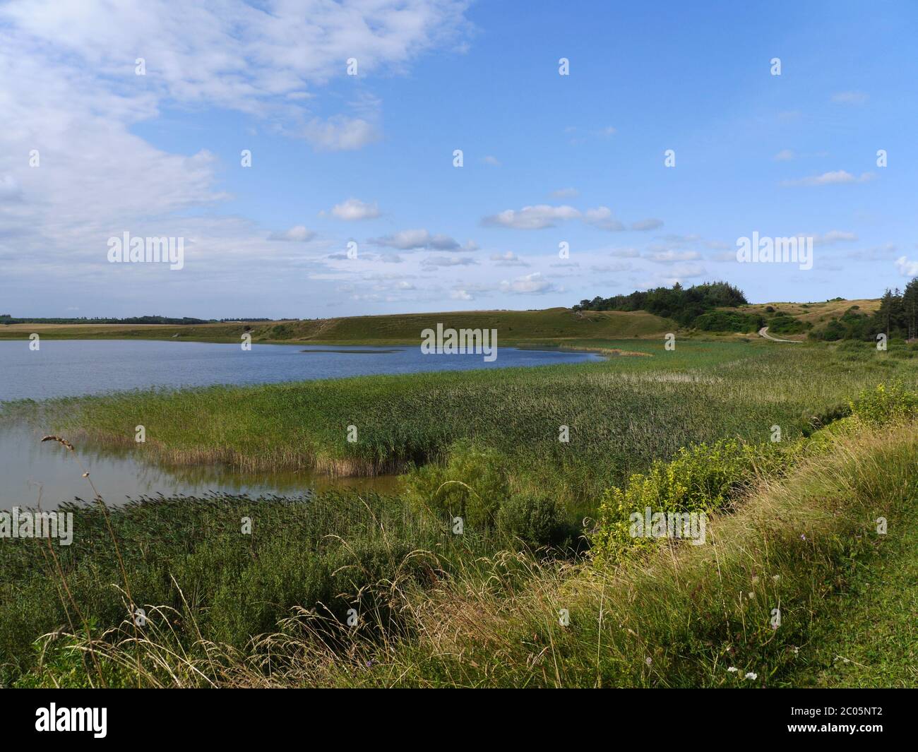 danish landscape in jutland Stock Photo