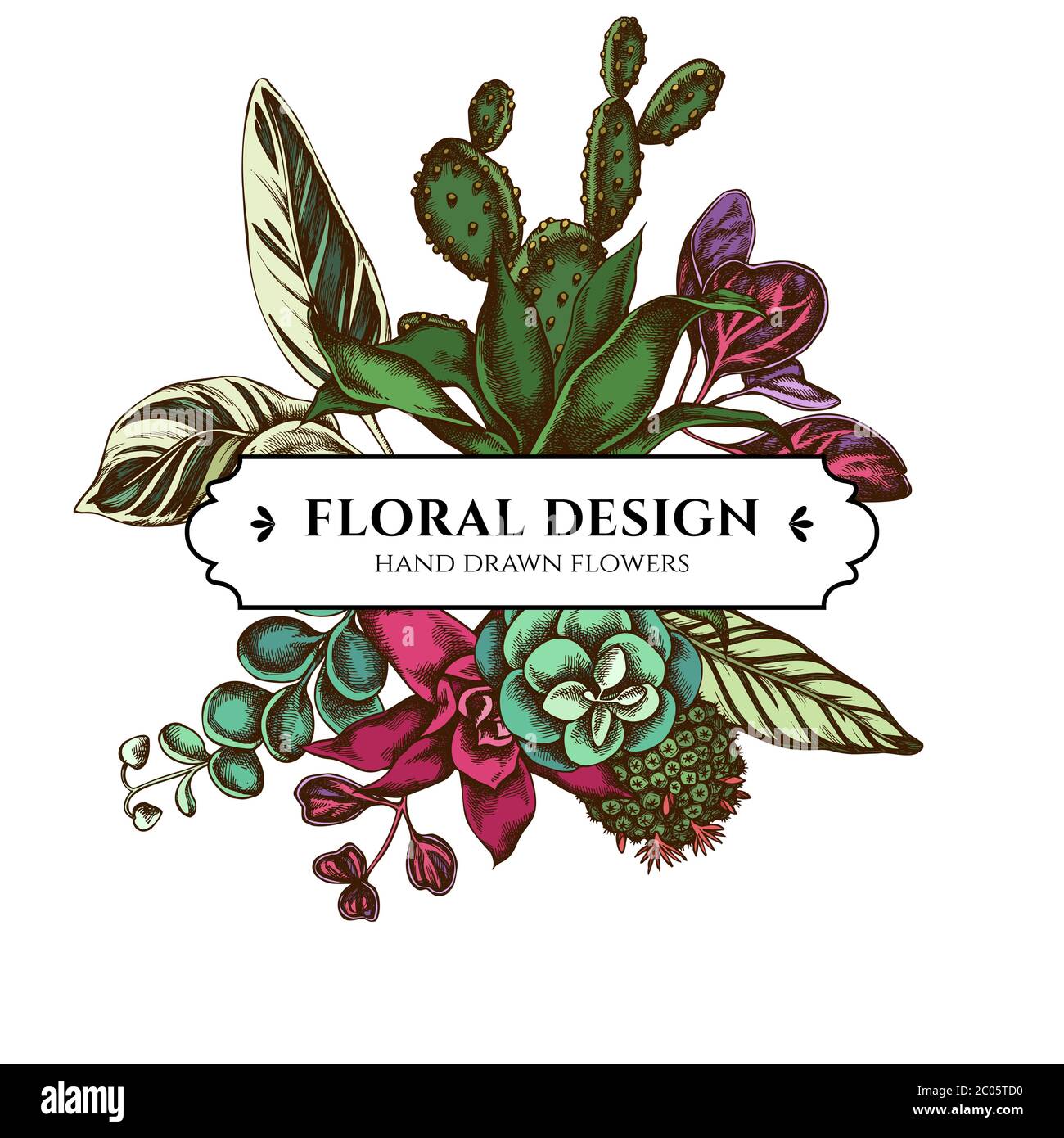 Floral bouquet design with colored ficus, iresine, kalanchoe, calathea, guzmania, cactus Stock Vector