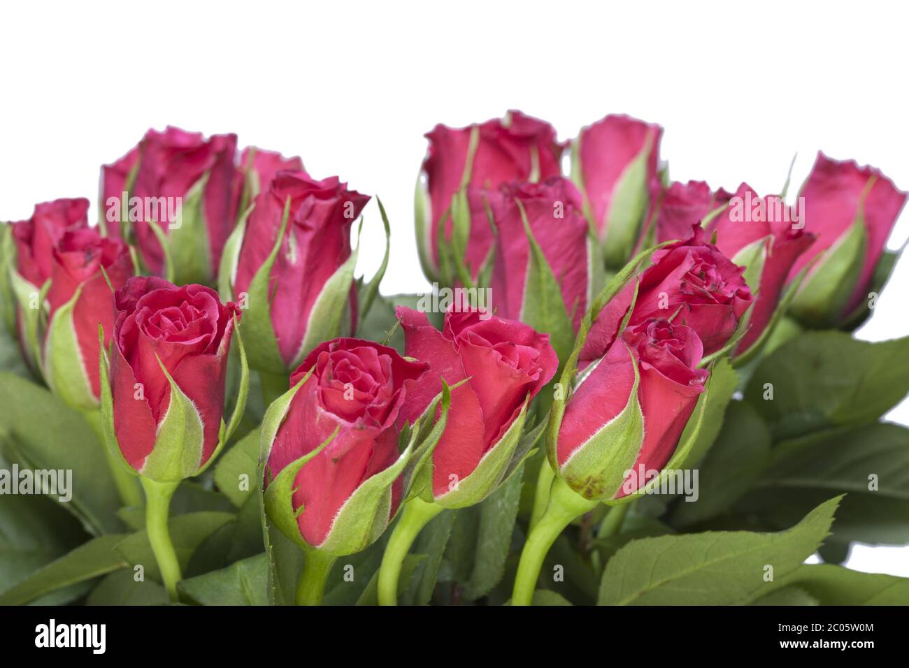 Red roses bouquet Stock Photo Alamy