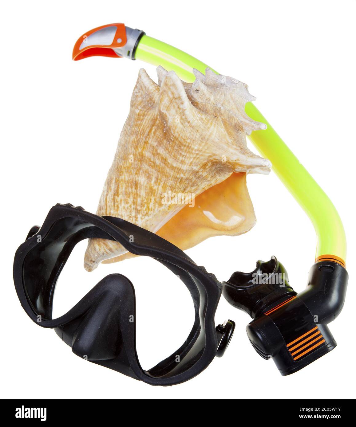 Tube for diving (snorkel), big sea shell and mask Stock Photo