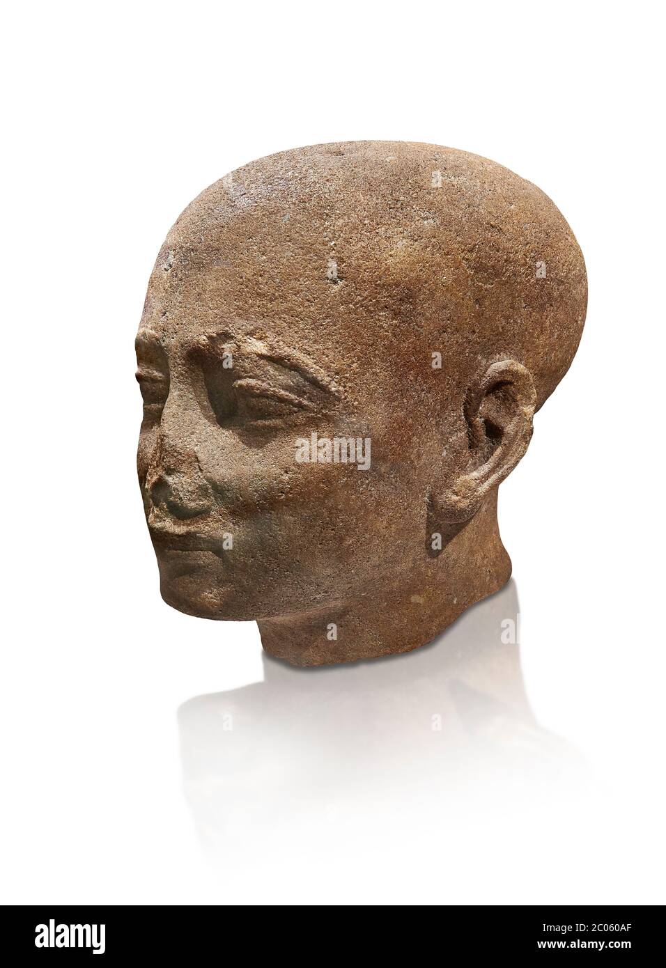 Ancient Egyptian statue shaved head of a priest, New Kingdom, 18th Dynasty, (1390-1353 BC). Egyptian Museum, Turin. Drovetti collection. Cat 3141. whi Stock Photo