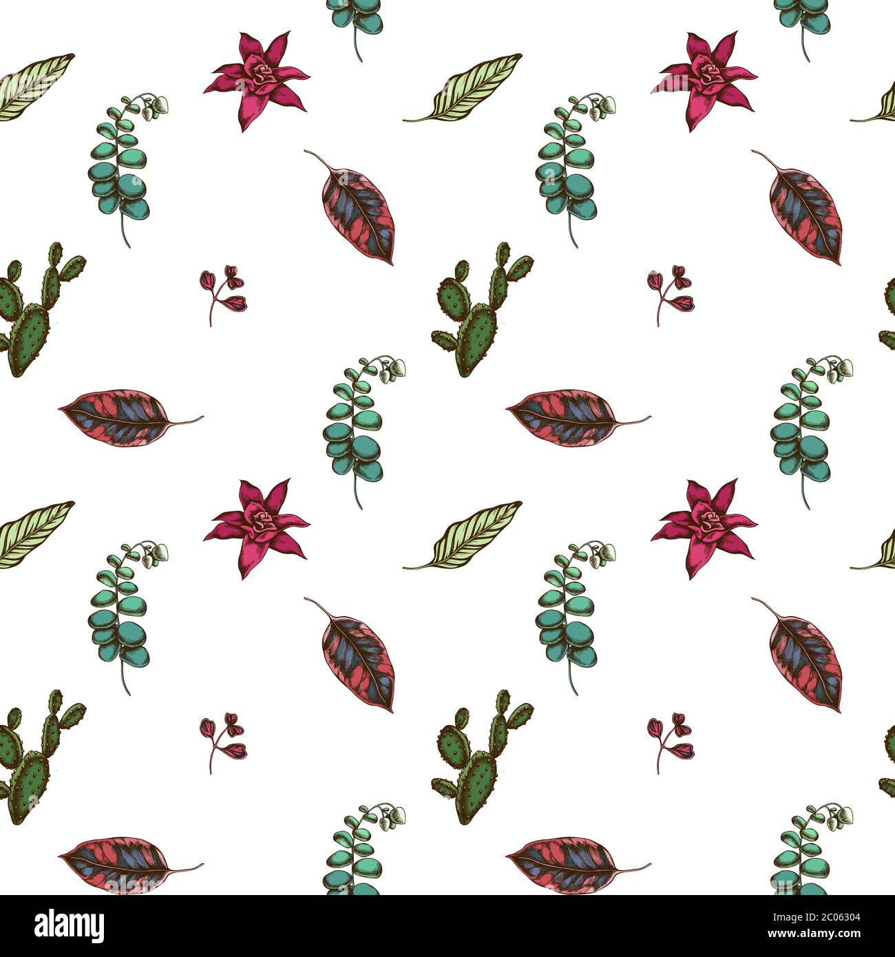 Seamless pattern with hand drawn colored ficus, iresine, kalanchoe, calathea, guzmania, cactus Stock Vector