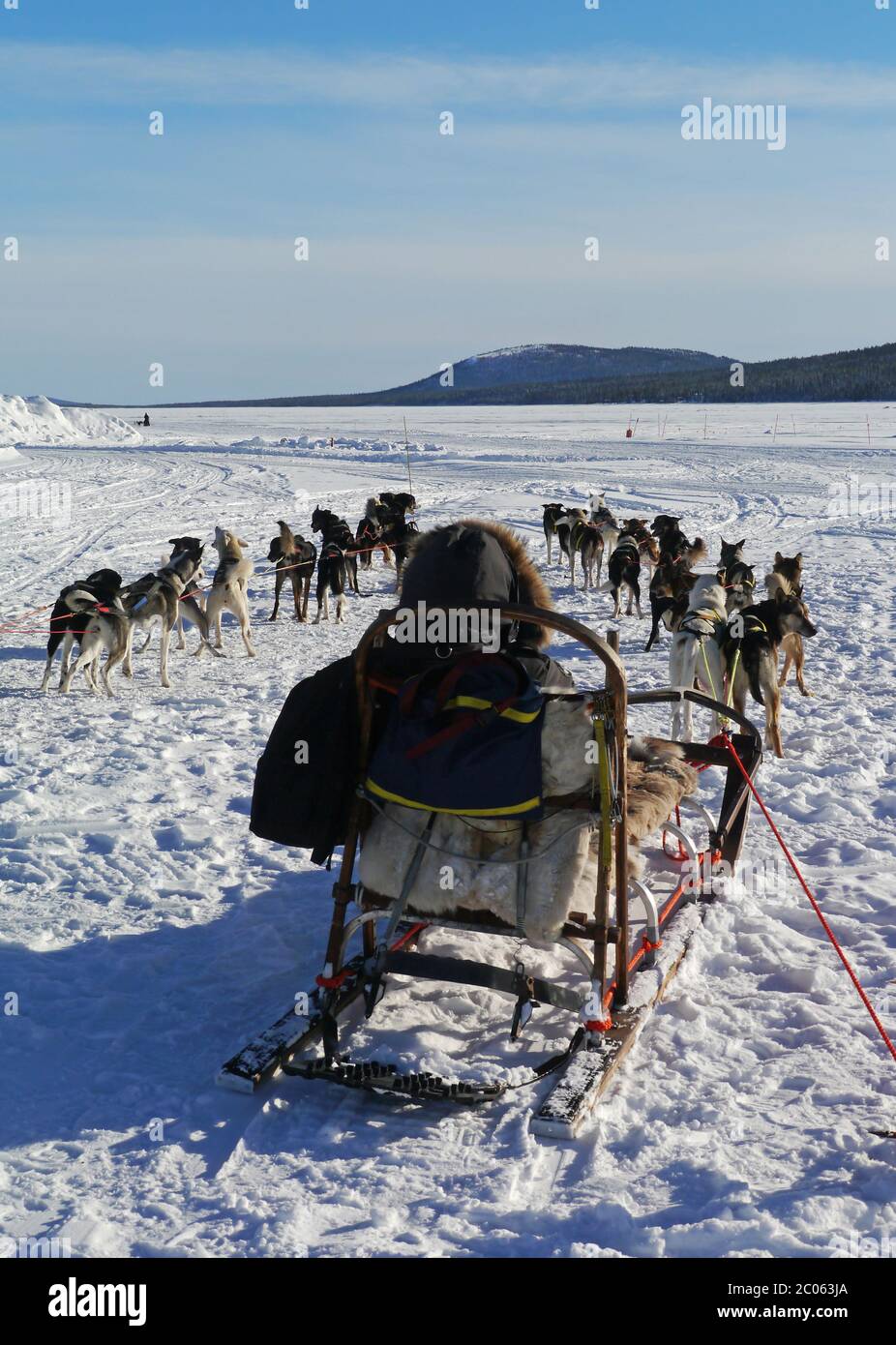 dog sled Stock Photo