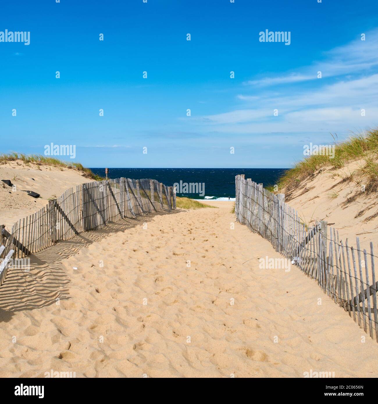 Path way to the beach at Cape Cod Stock Photo - Alamy