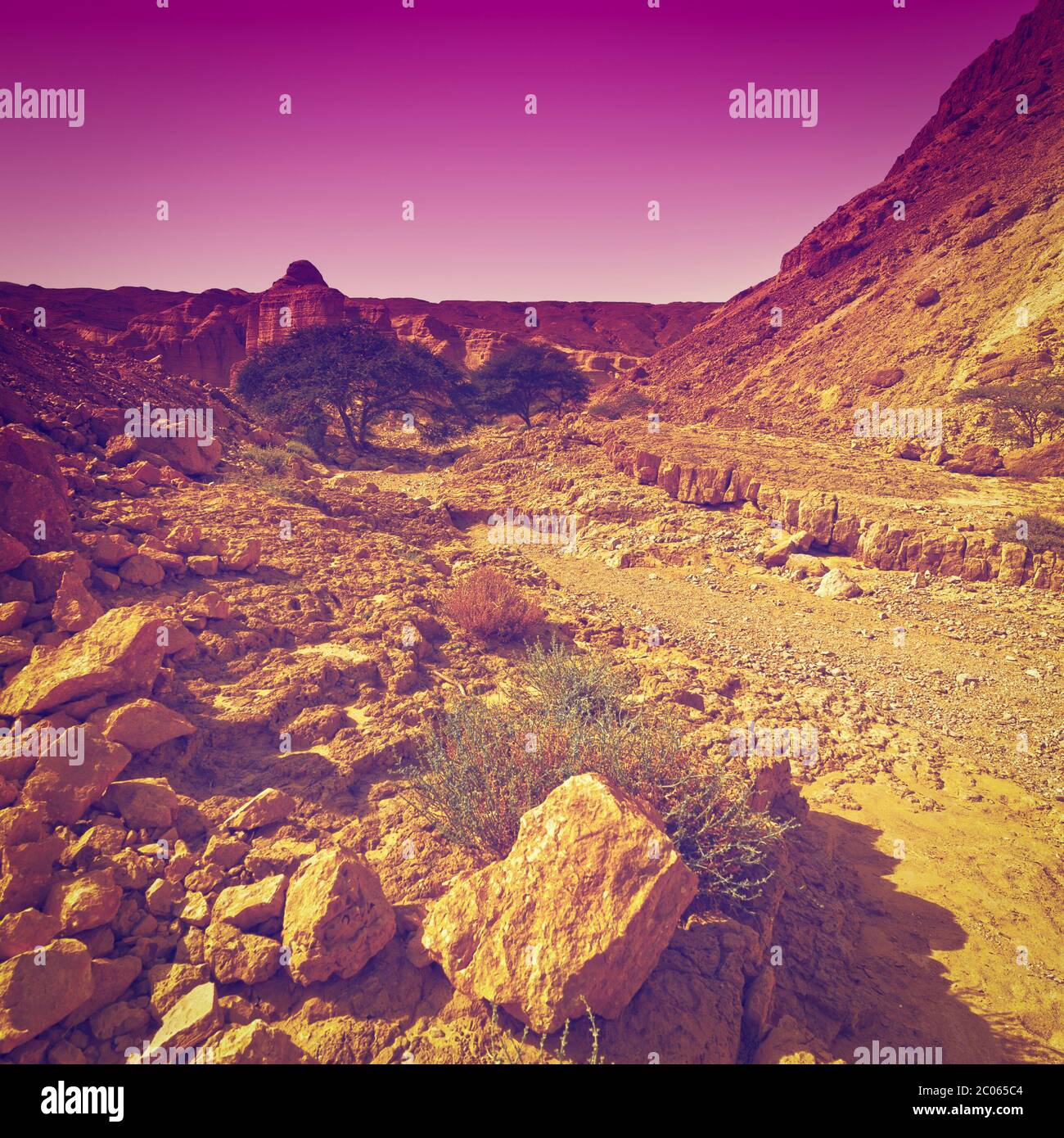 Spring Rocks Desert Vintage desert rocks hi-res stock photography and images - Alamy