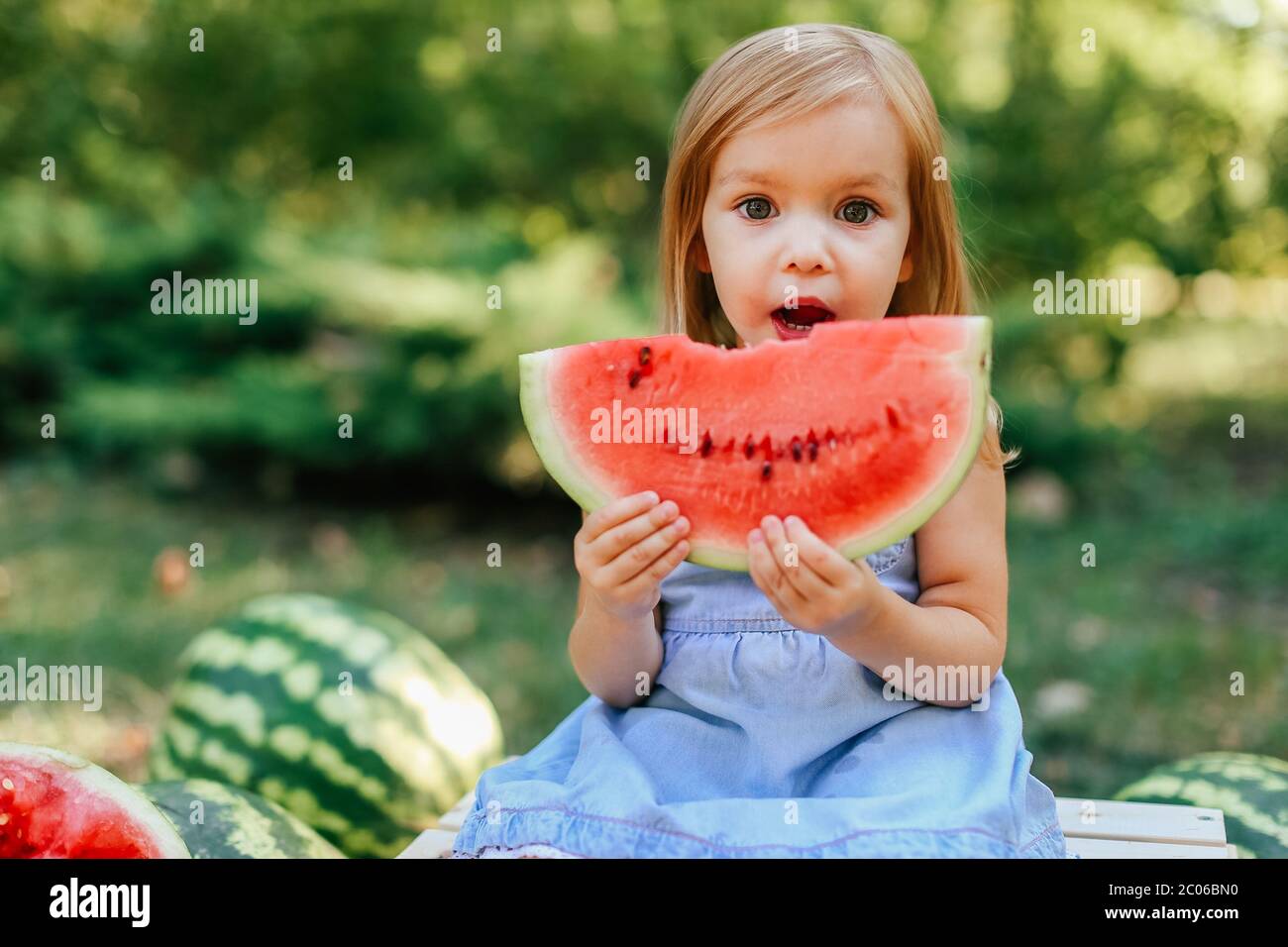 Child eating watermelon in the garden. Kids eat fruit outdoors. Healthy