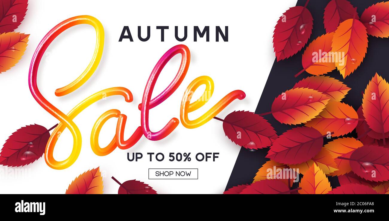 Autumn sale banner. Stock Vector