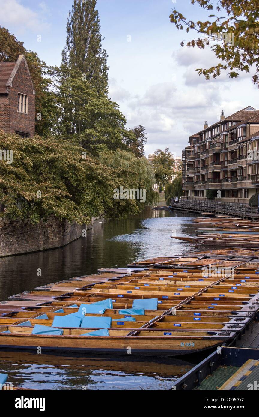 Cambridge, UK - September 19, 2011:  Punt rowing boats moored on the banks of the River Cam. Beside Magdalene College, Cambridge. Stock Photo