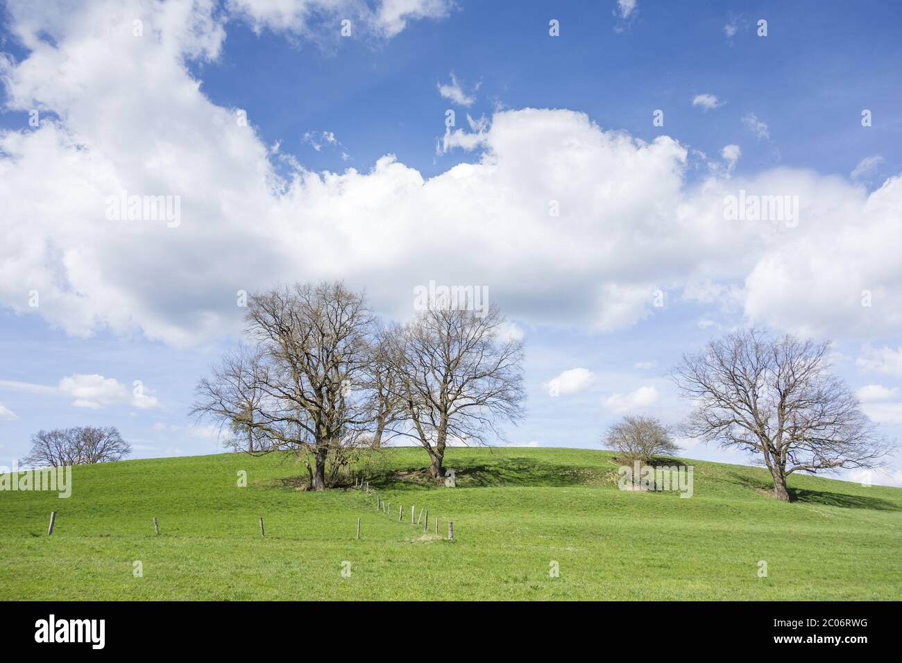 trees and clouds Stock Photo - Alamy