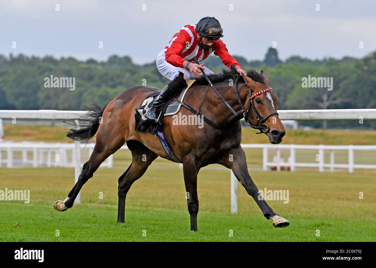 Involved ridden by James Doyle wins the MansionBet’s Beaten by a Head Handicap at Newbury Racecourse. Stock Photo