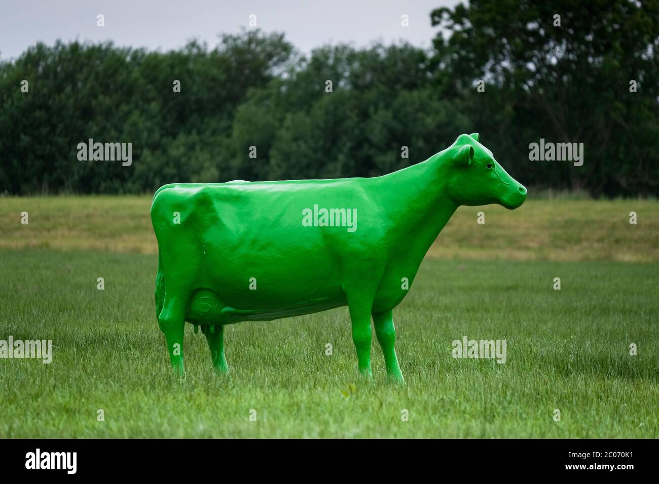 Green painted fullsize plastic cow standing in a meadow in the