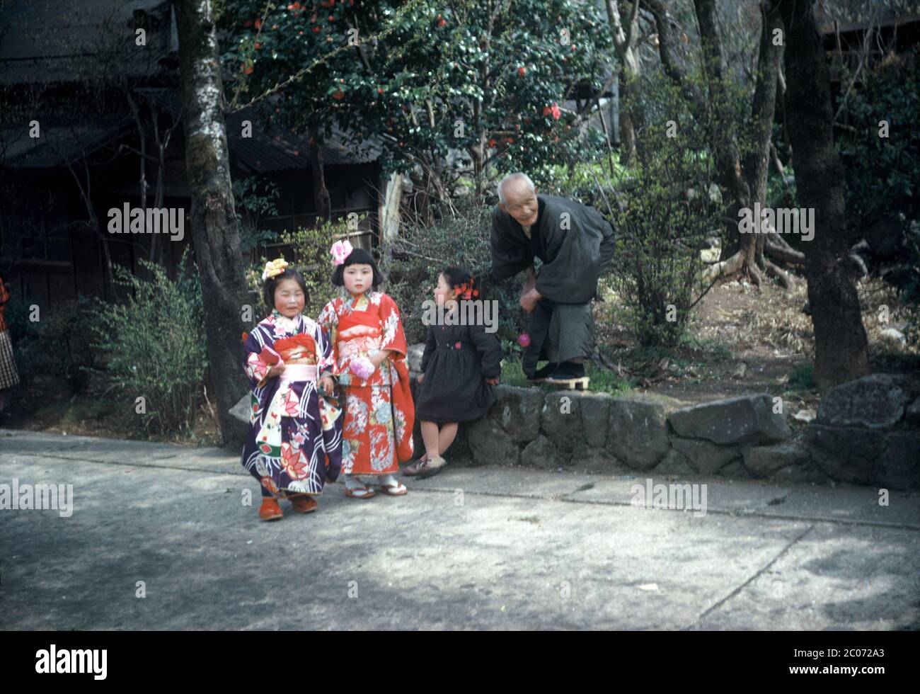 [ 1940s Japan - Shichi-Go-San ] — Three young girls and an elderly man, April 1949 (Showa 24).  Two of the girls are all dressed up in kimono and beautiful hair decorations, so they are likely celebrating Shichi-Go-San (七五三), a traditional rite of passage for three and seven year old girls and five year old boys.  20th century vintage slide film. Stock Photo