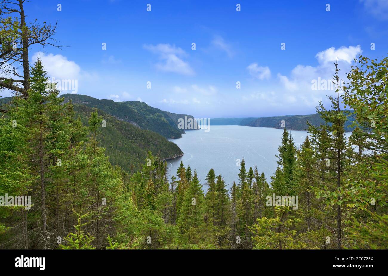 Panoramic view of the river Saguenay from Saguenay Fjord National park