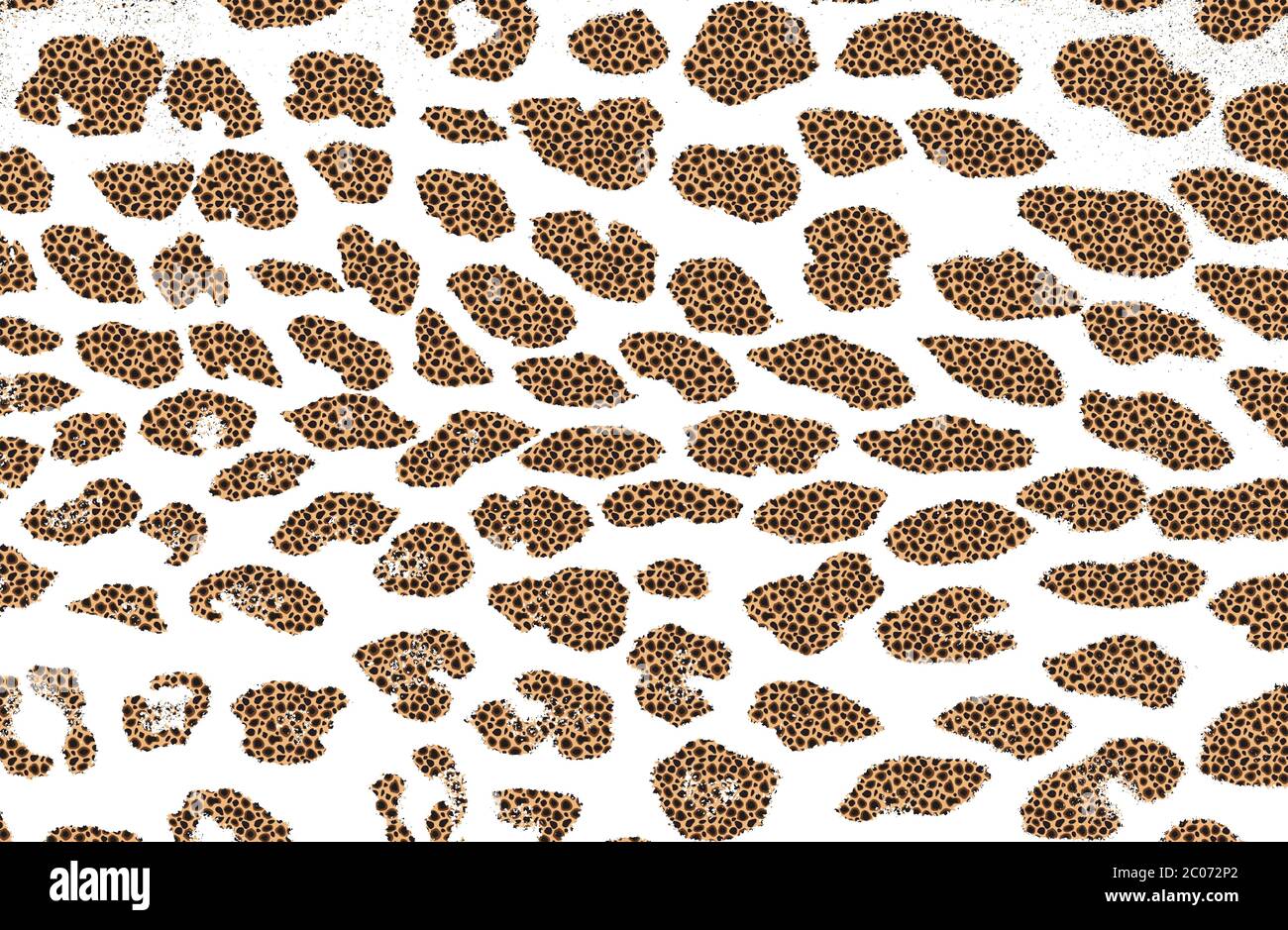 Leopard print vector vectors hi-res stock photography and images - Alamy