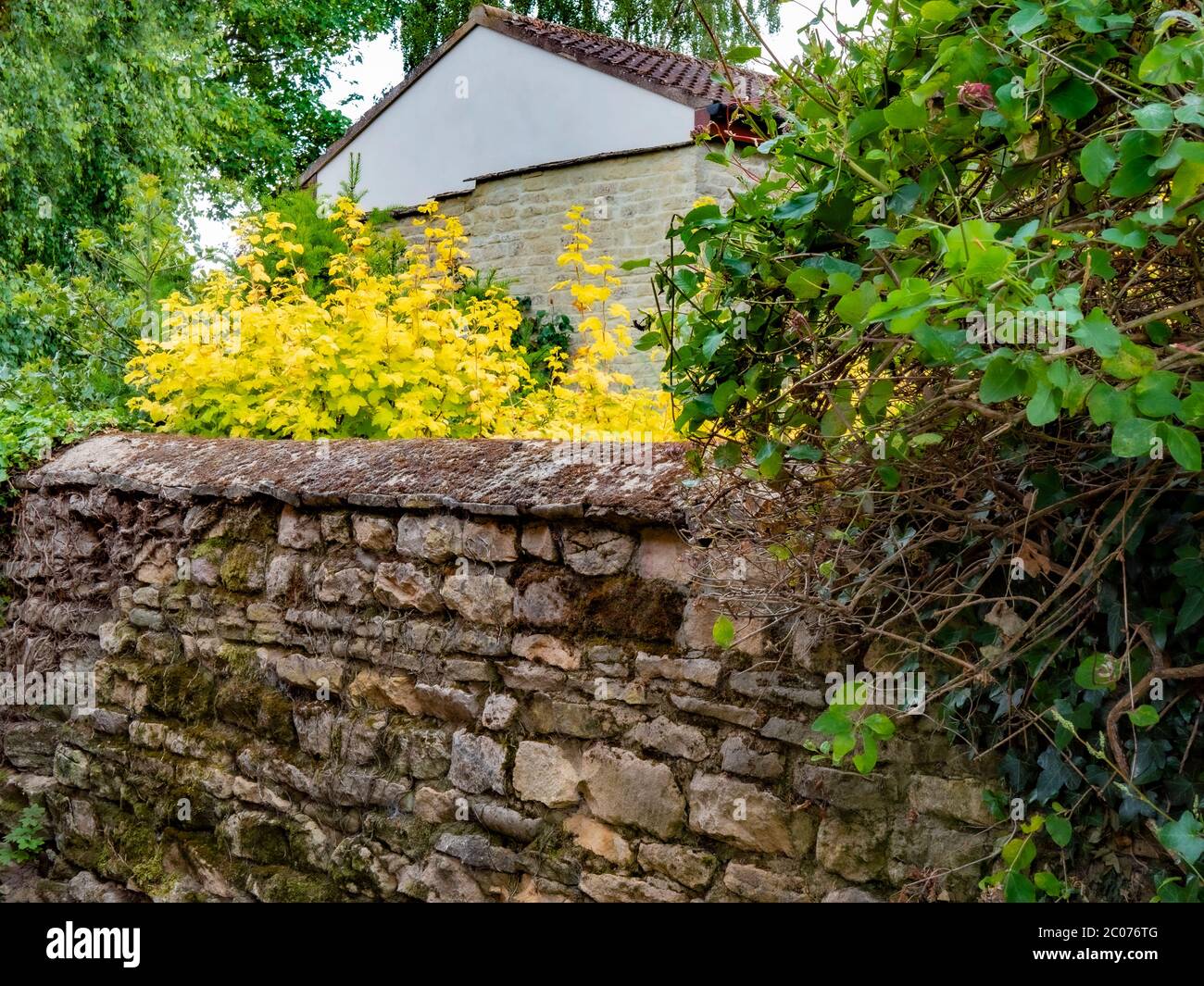 Centuries old attractive stone boundary wall, with a curved top, in front of a restored stone barn in Lincolnshire, England, UK. Stock Photo