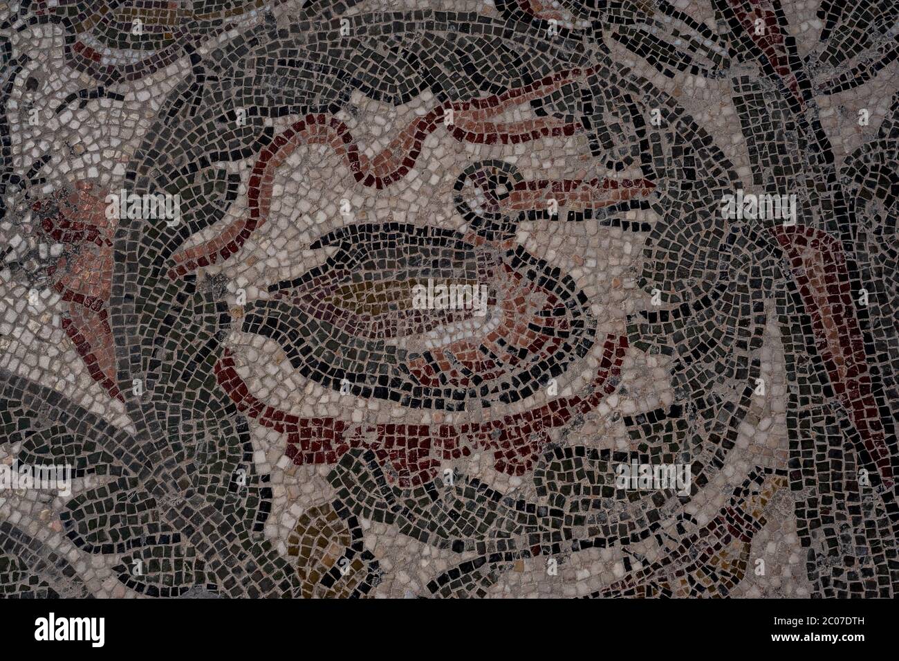 Roman Bird Mosaic High Resolution Stock Photography and Images - Alamy