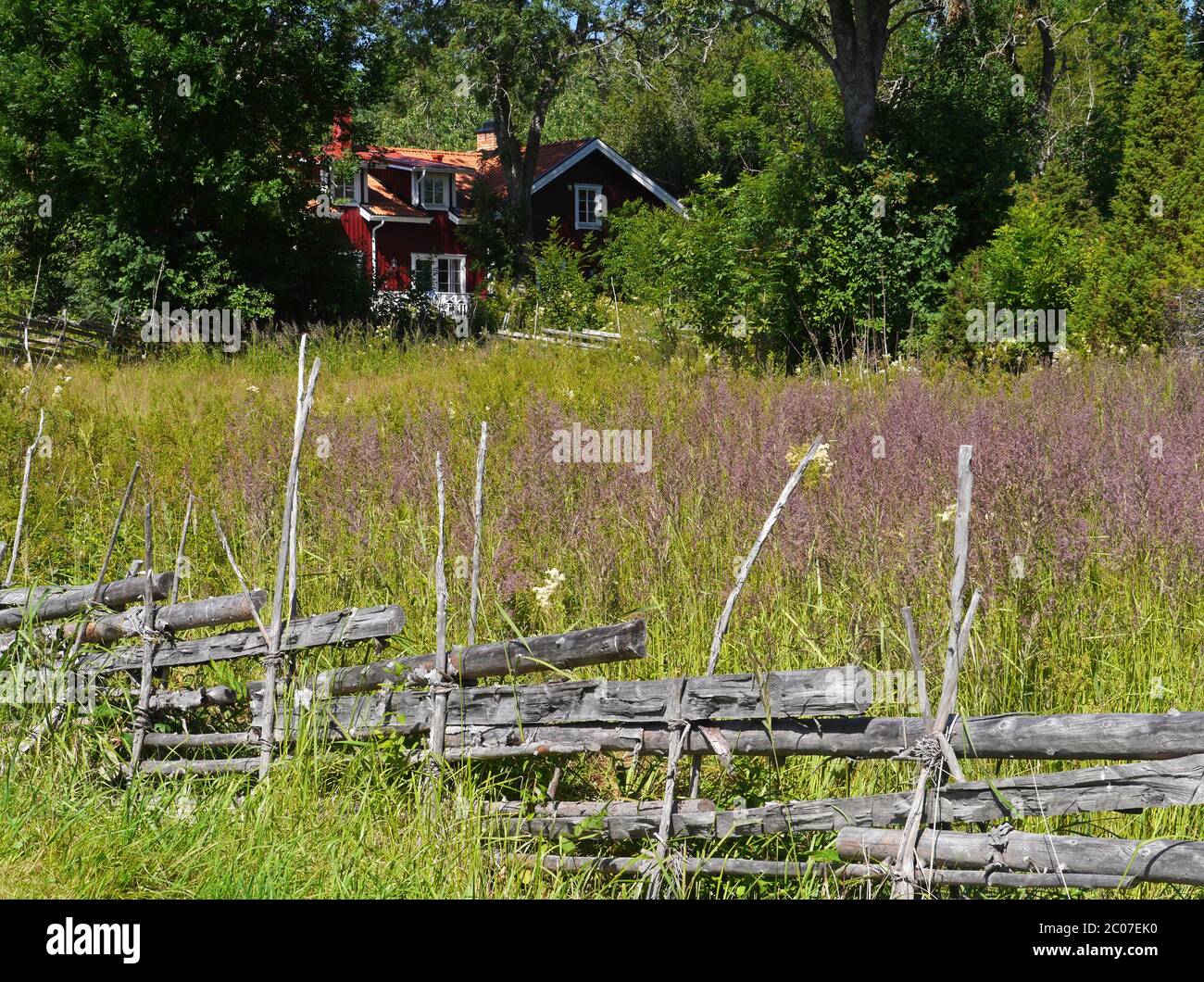 cultivated landscape in sweden Stock Photo