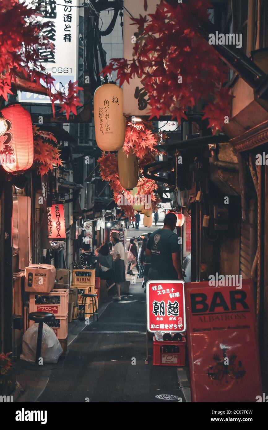 Traditional Japanese hidden micro bar street Omoide Yokocho aka the Piss Alley at Shinjuku in Tokyo Japanet Stock Photo