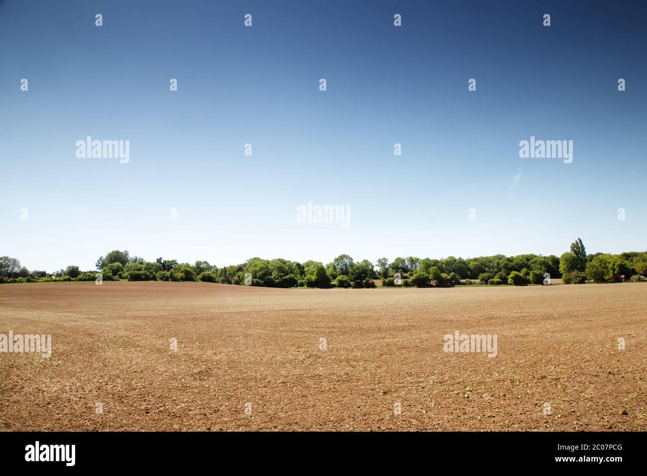 farmland near the small essex village of chappel in essex Stock Photo