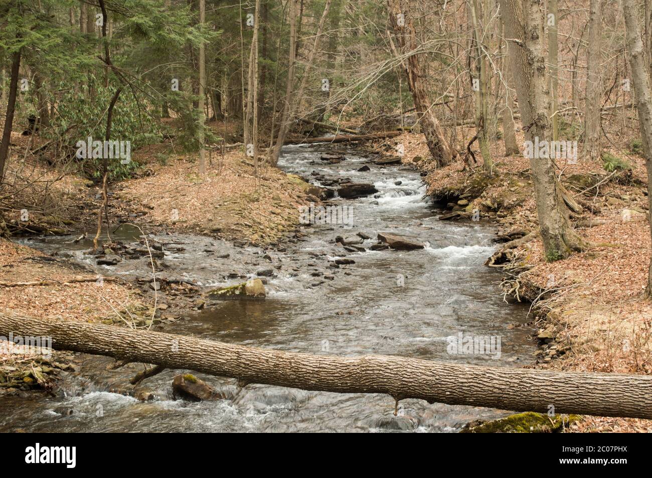 confluence of two mountain streams Stock Photo