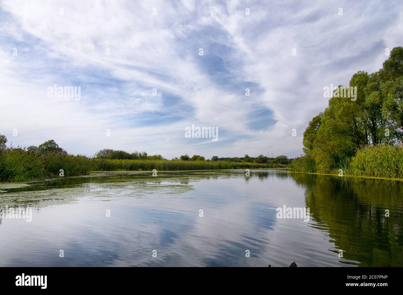 Summer landscape with a river Stock Photo - Alamy