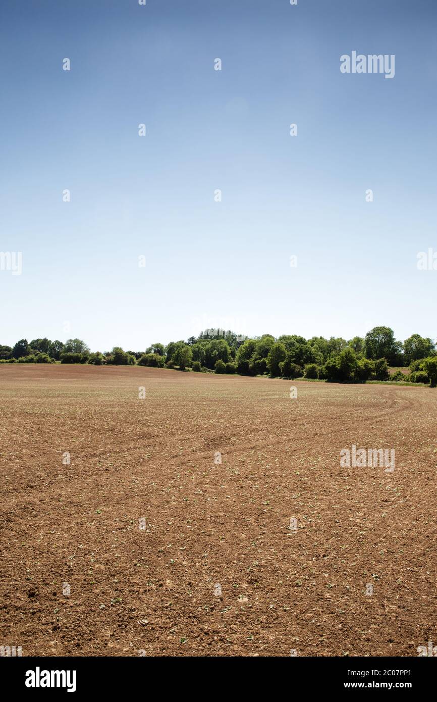 farmland near the small essex village of chappel in essex Stock Photo