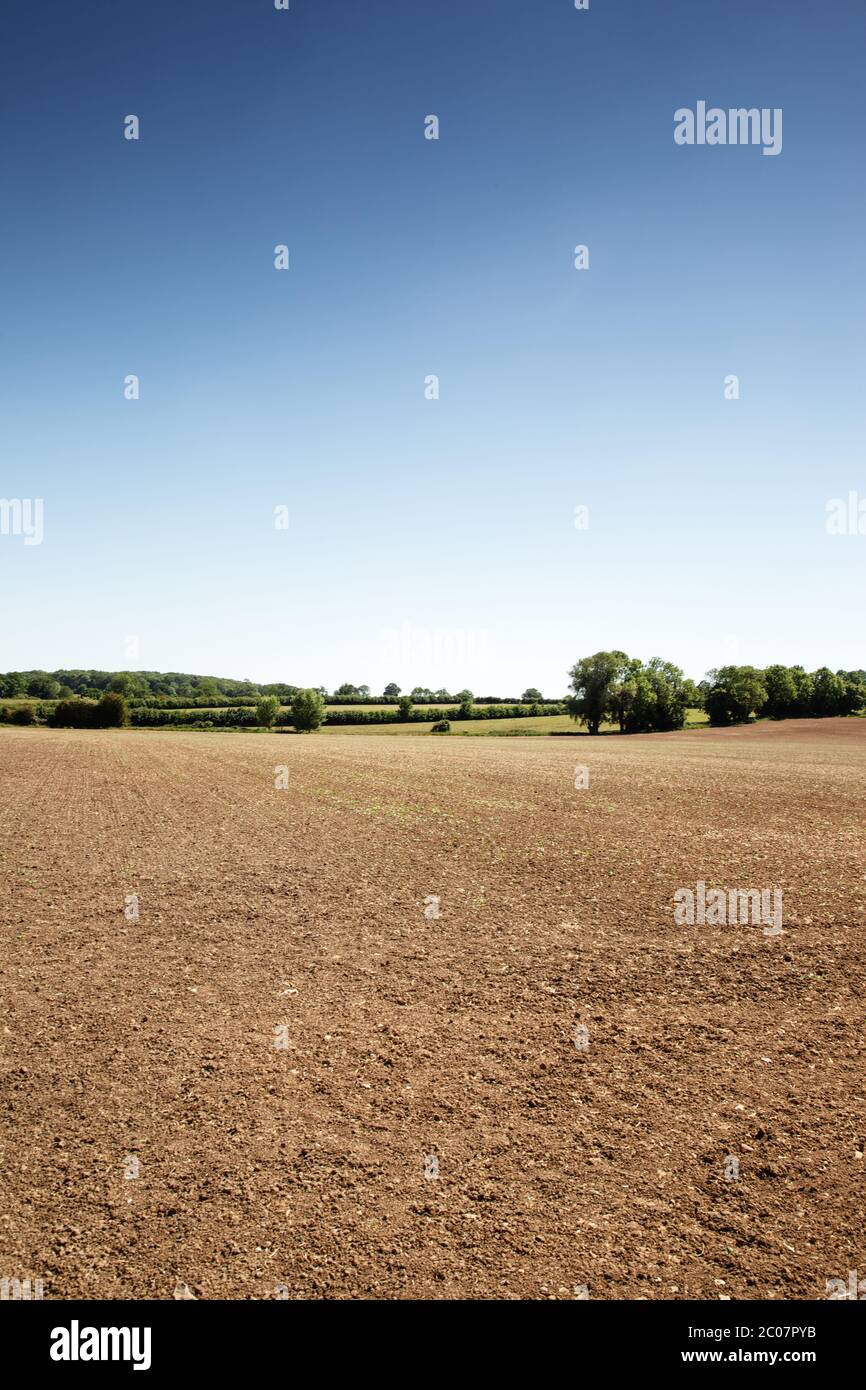farmland near the small essex village of chappel in essex Stock Photo