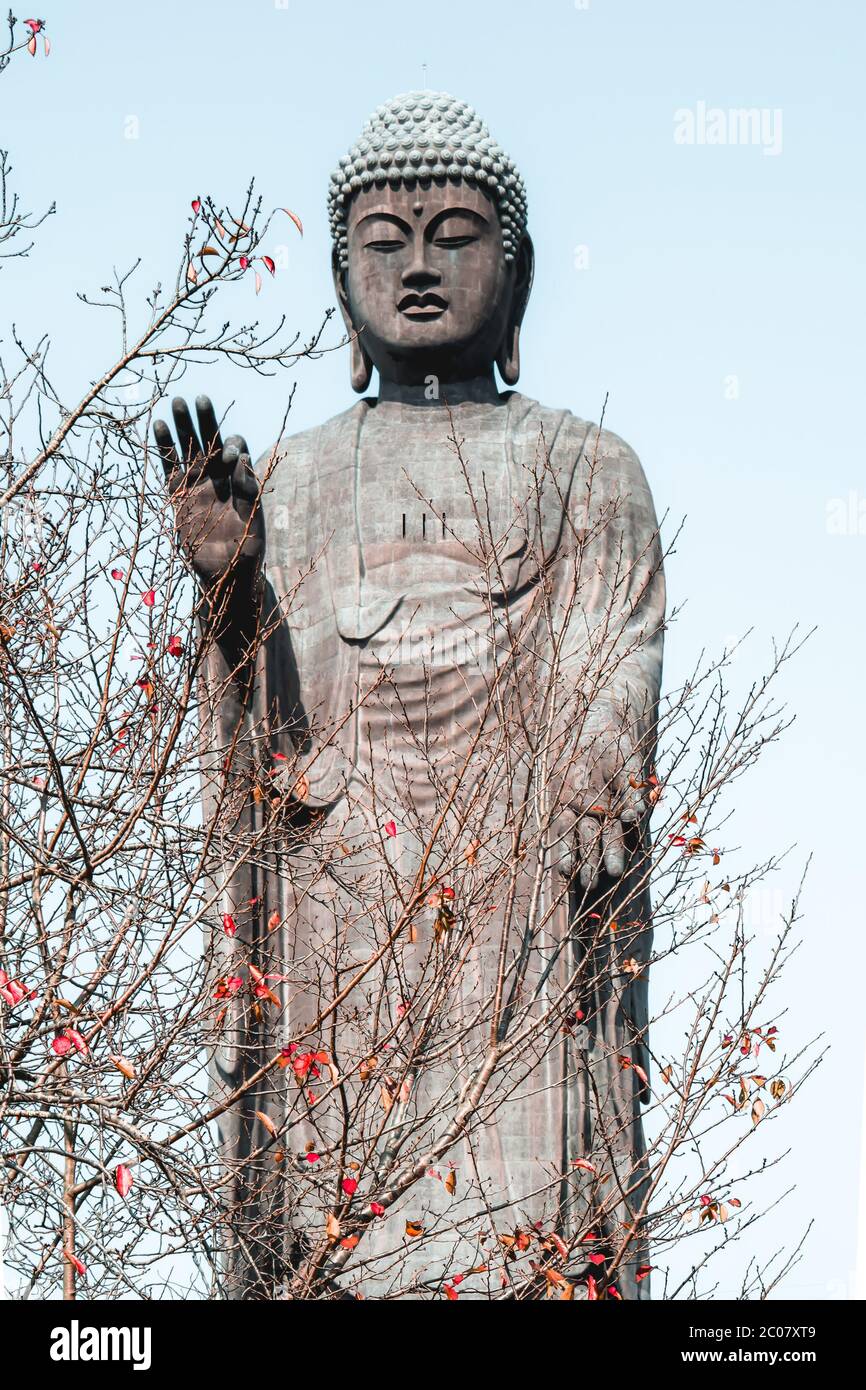 The third largest Buddha statue in the World in Ushiku Japan Stock Photo