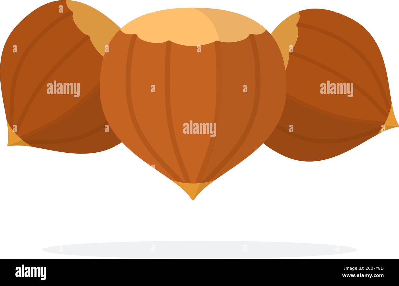 Three whole hazelnuts flat isolated Stock Vector Image & Art Alamy