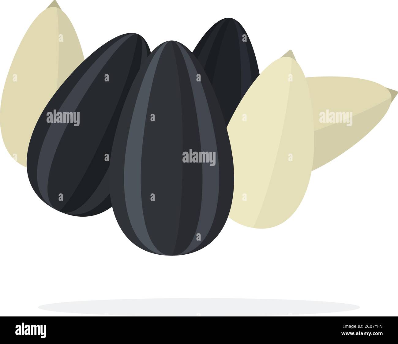 Sunflower seeds in shell and peeled sunflower seeds flat isolated Stock