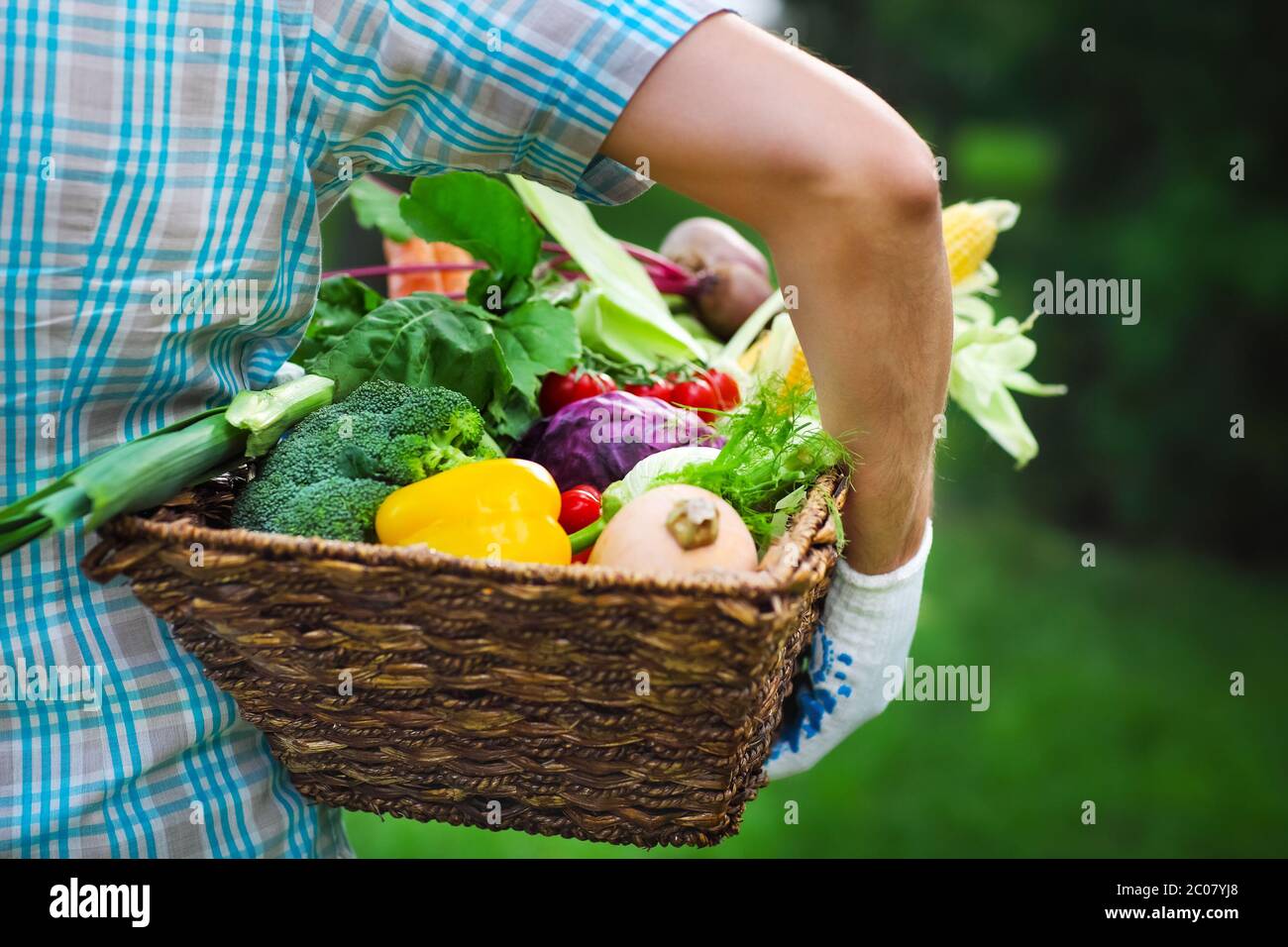 Wooden box filled fresh vegetables Stock Photo