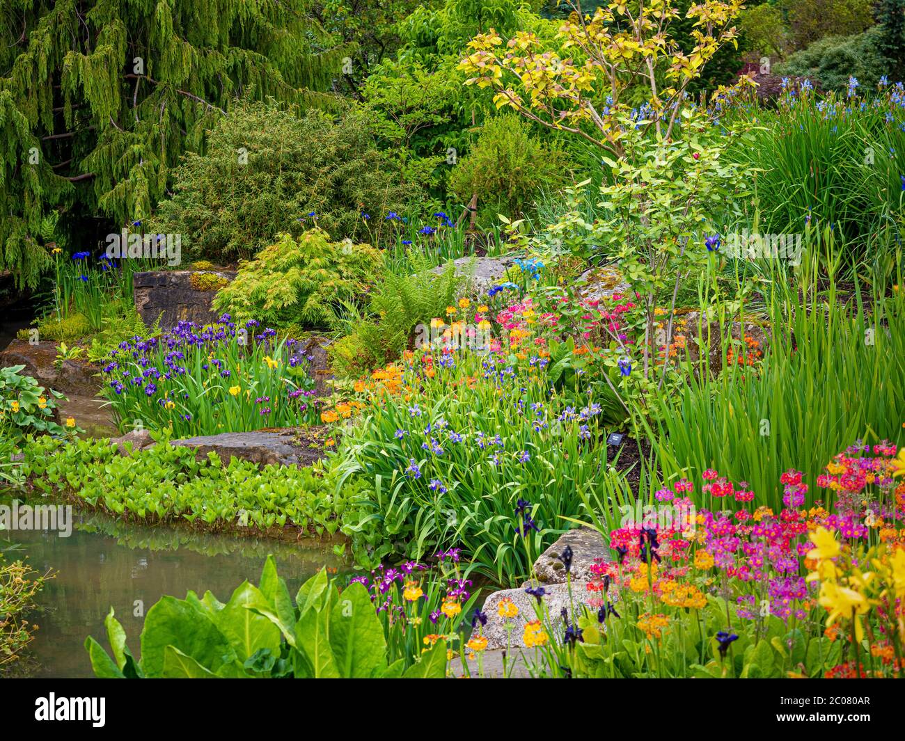 Rockery with pond softened with marginal plants. UK Stock Photo Alamy