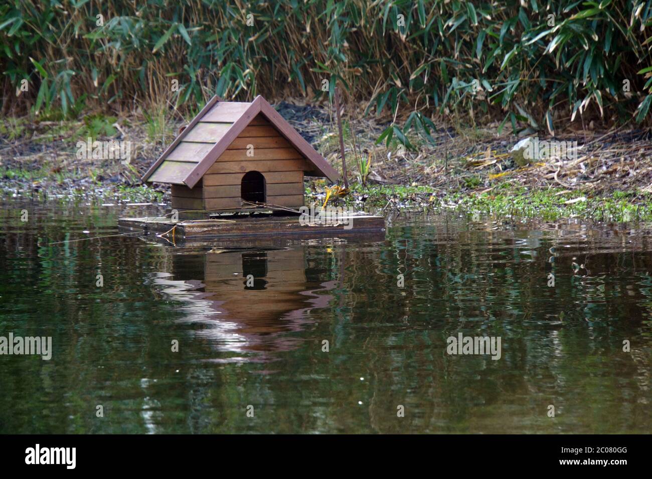 Duck House By Pond High Resolution Stock Photography and Images Alamy