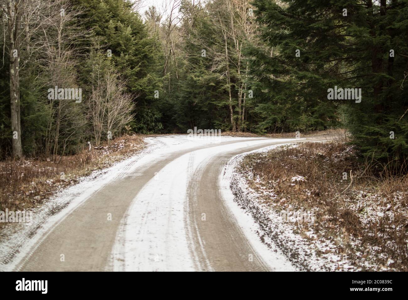 Snow dusting on a Game Lands road. Stock Photo