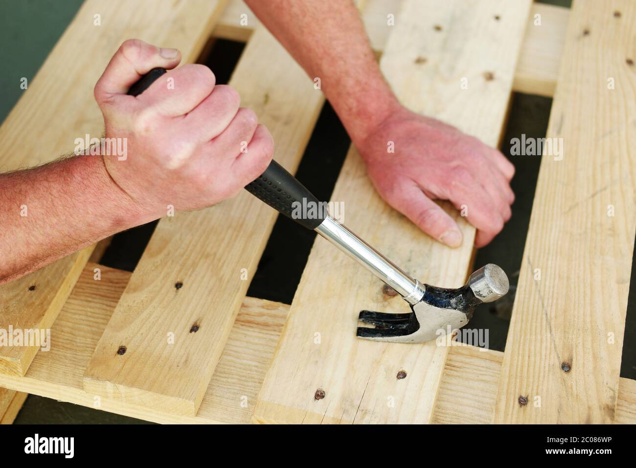 Carpenter using a claw hammer Stock Photo