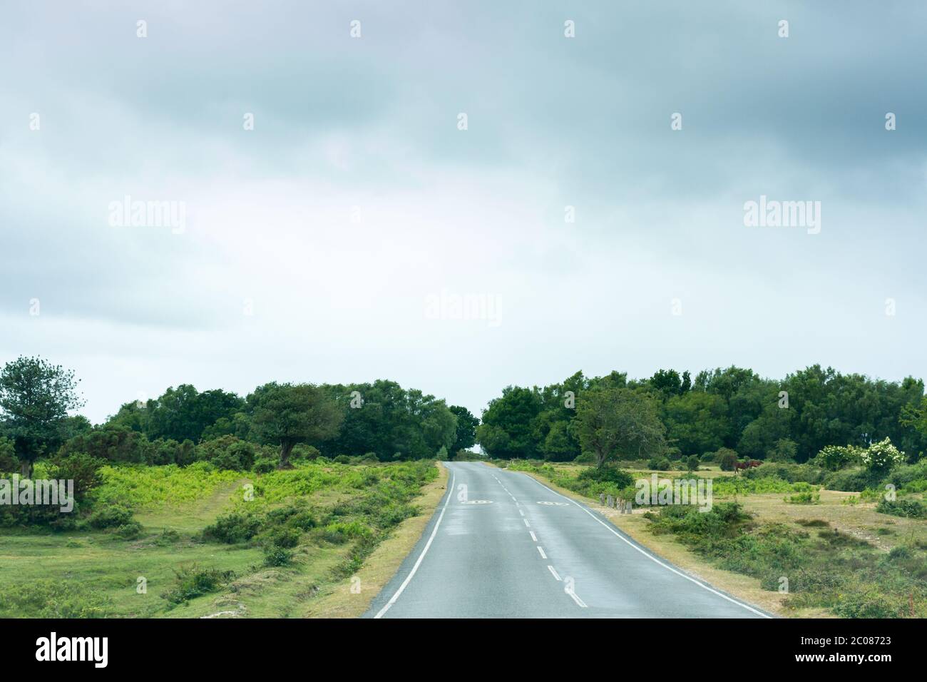 A road leading through the New Forest in Hampshire with rain clouds overhead Stock Photo