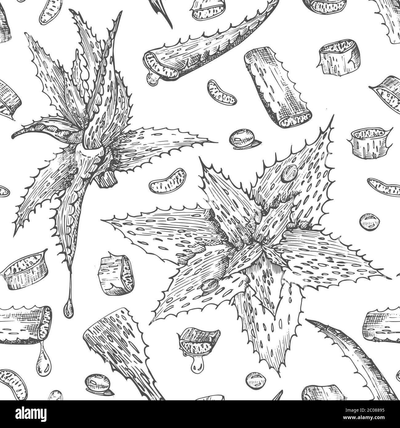 Seamless pattern with hand drawn Aloe vera lives and flower in black ...