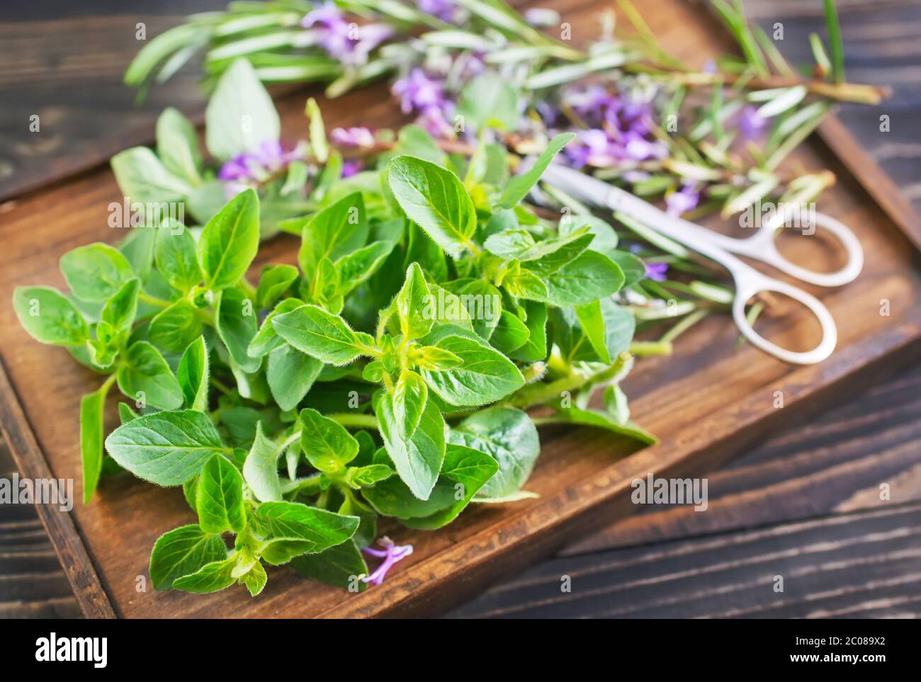 aroma herbs Stock Photo Alamy