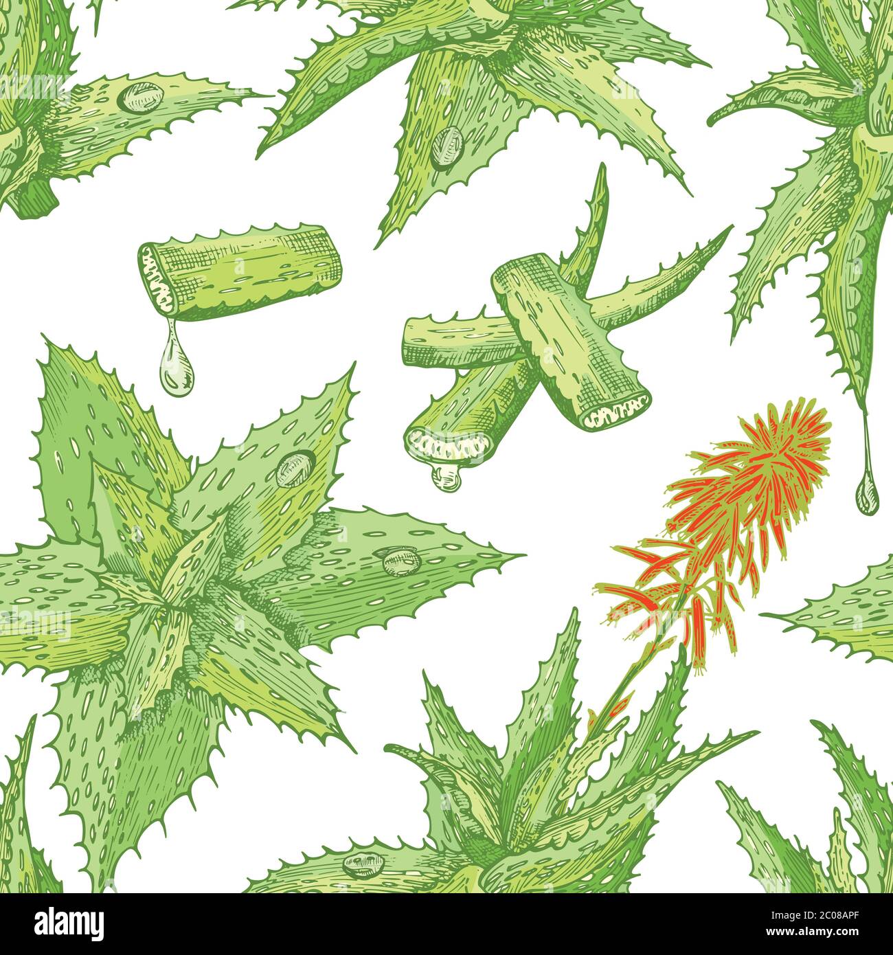 Seamless pattern with hand drawn Aloe vera lives and flower in green ...