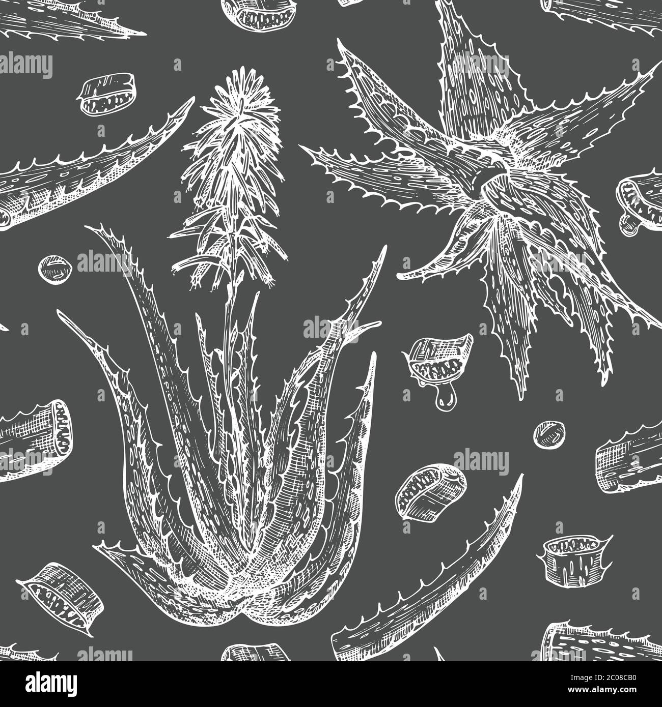 Seamless pattern with hand drawn Aloe vera lives and flower in white ...