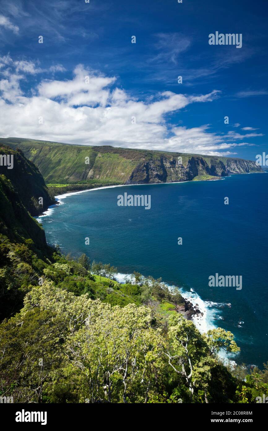 Distant vertical panoramic view of Waipio Valley and pali (cliff) along Hamakua Coast on Hawaii island. Stock Photo