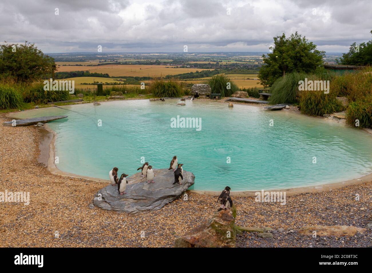 Rockhopper Penguin pond looking west over Buckinghamshire, ZSL Whipsnade Zoo, Whipsnade, near Dunstable, England. Stock Photo