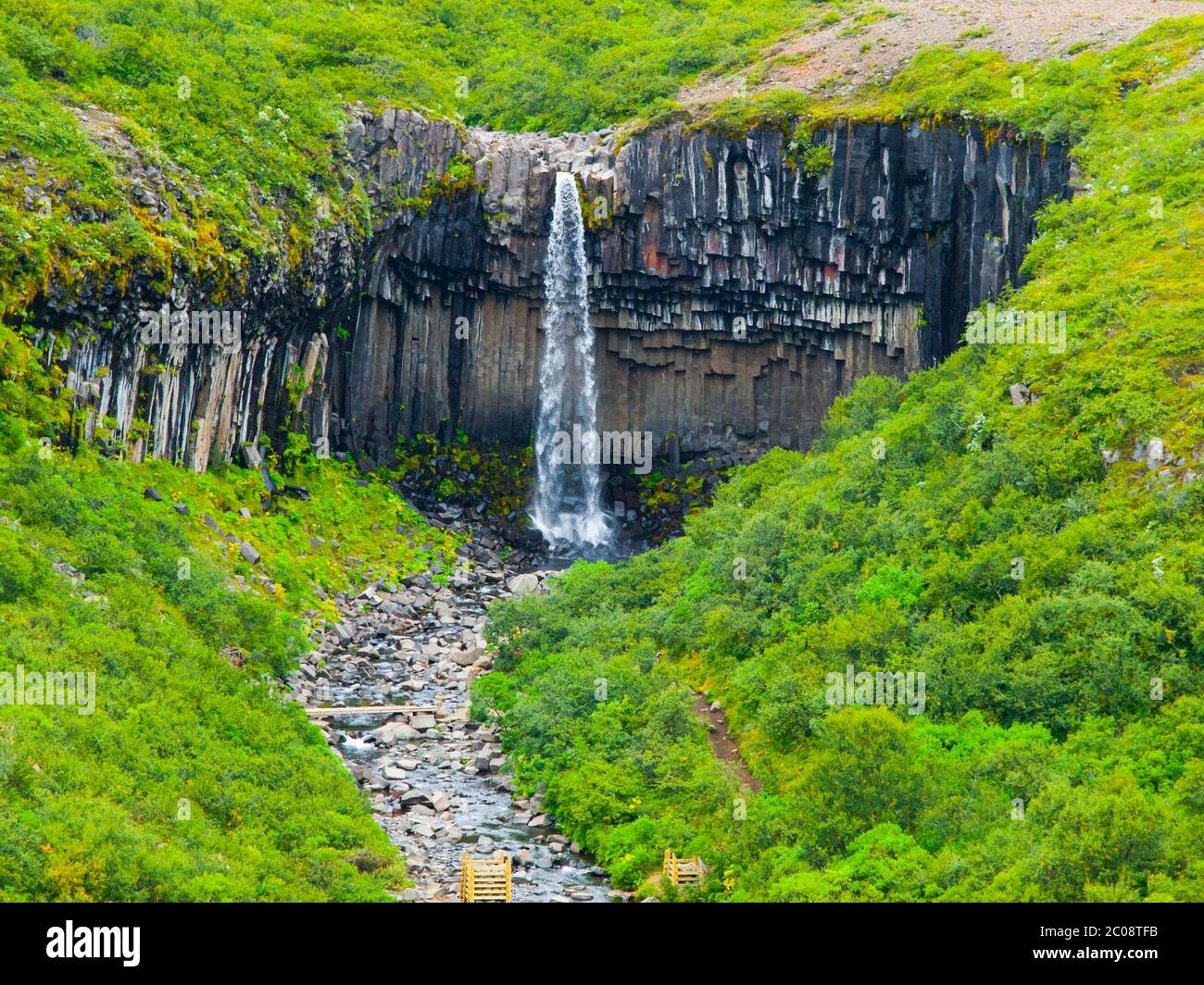 Svartifoss waterfall with basalt columns, Skaftafell National Park, Iceland Stock Photo