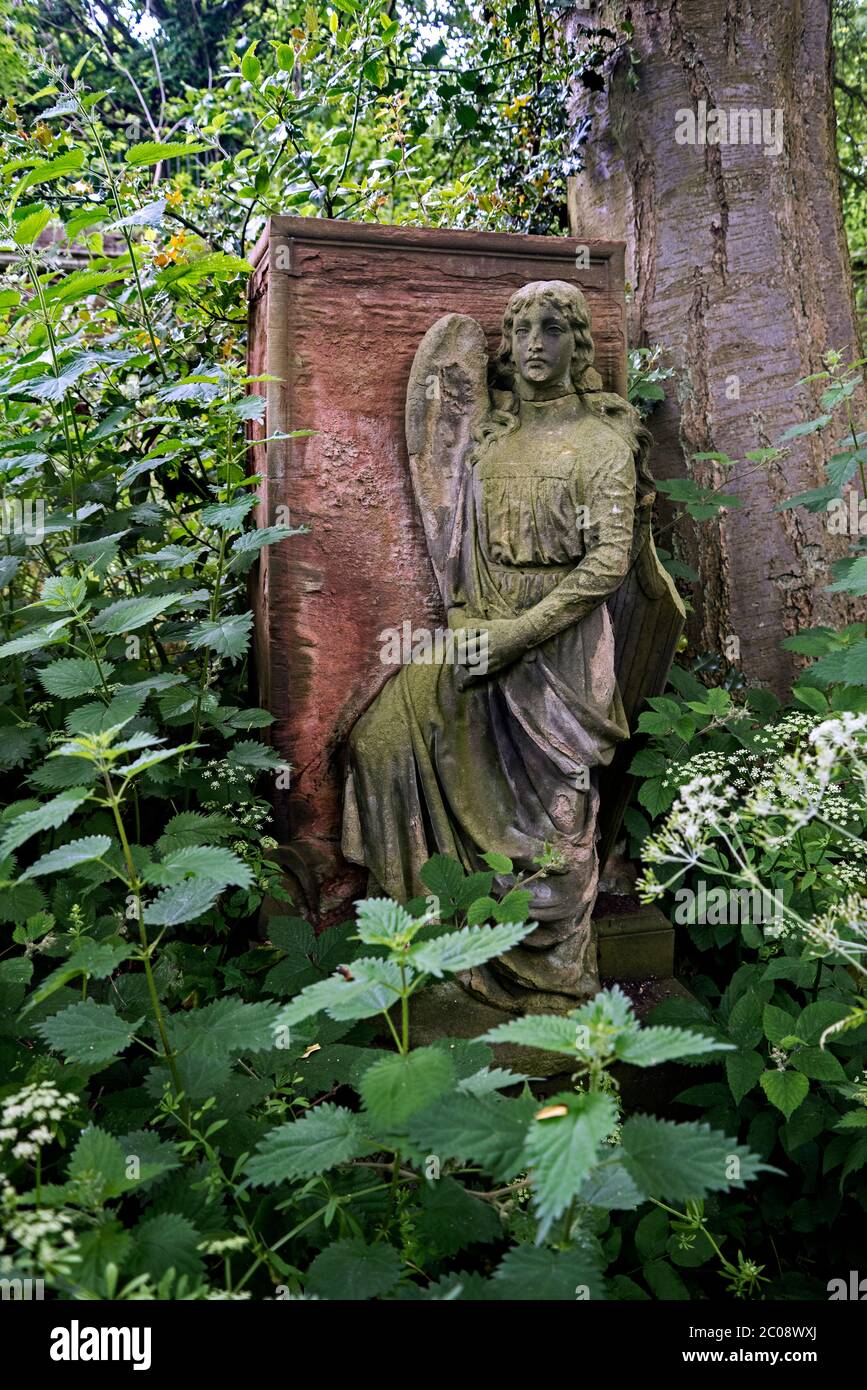 Memorial with angel in an overgrown and neglected Dalry Cemetery, Edinburgh, Scotland, UK. Stock Photo