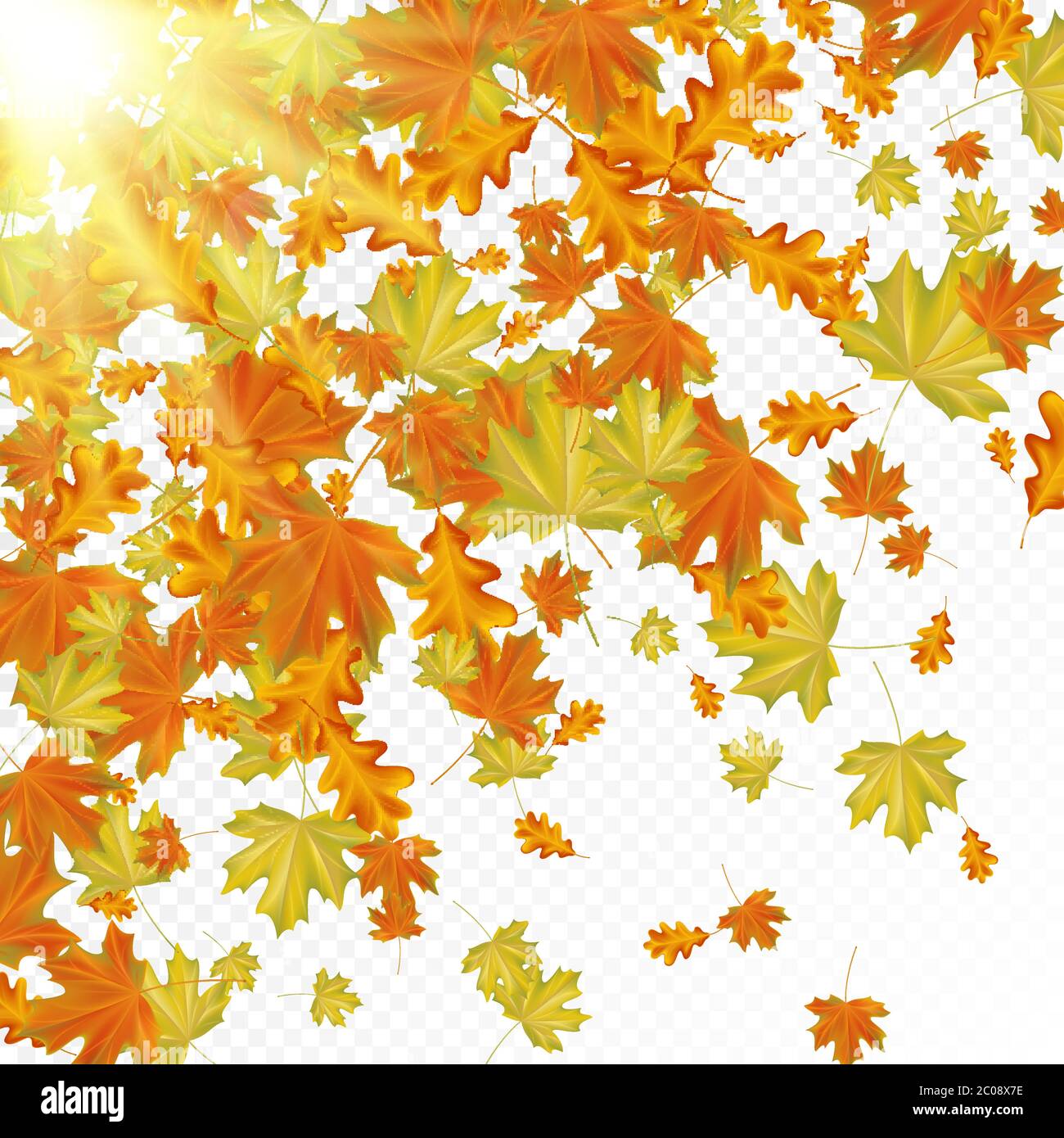 Autumn leaves with sun rays Stock Vector Image & Art - Alamy