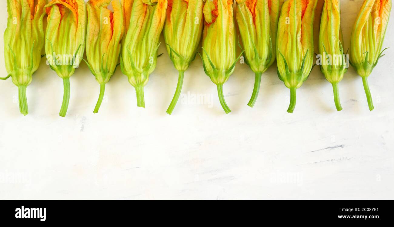 Zucchini flowers isolated on white background. Top view. Organic food. Stock Photo