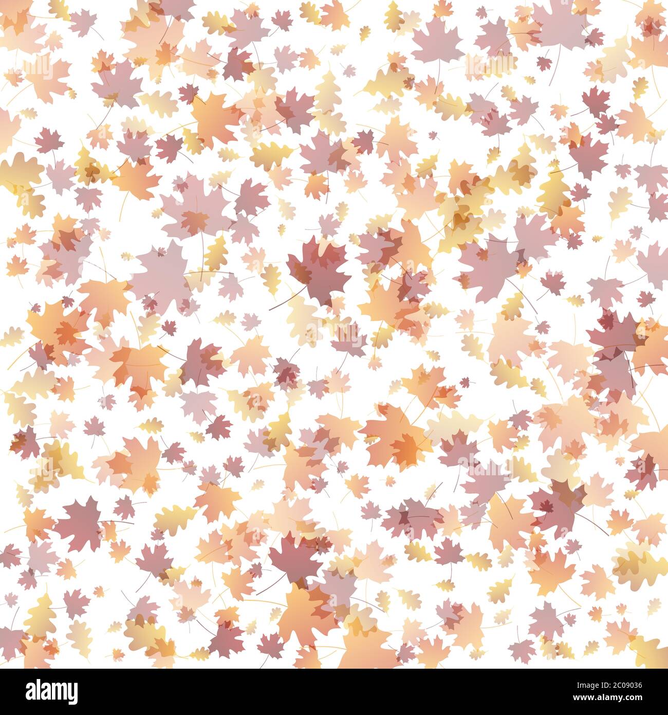 Autumn leaves on white background Stock Vector Image & Art - Alamy